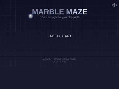 Marble Maze